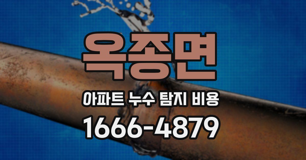 옥종면 아파트 누수 탐지 비용