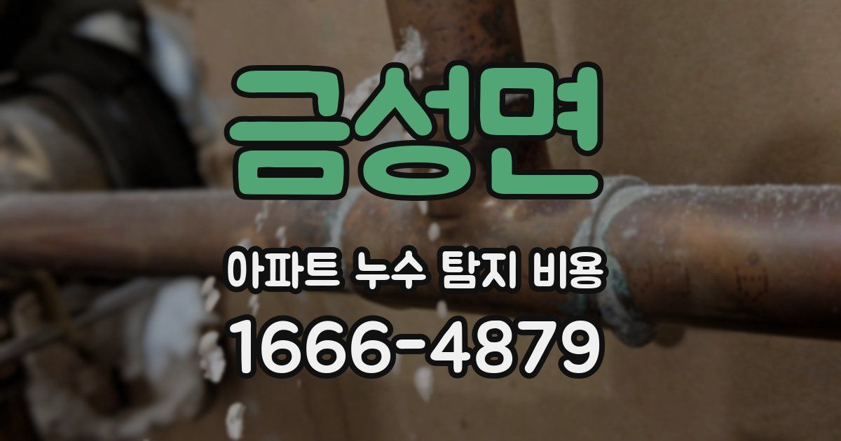 금성면 아파트 누수 탐지 비용