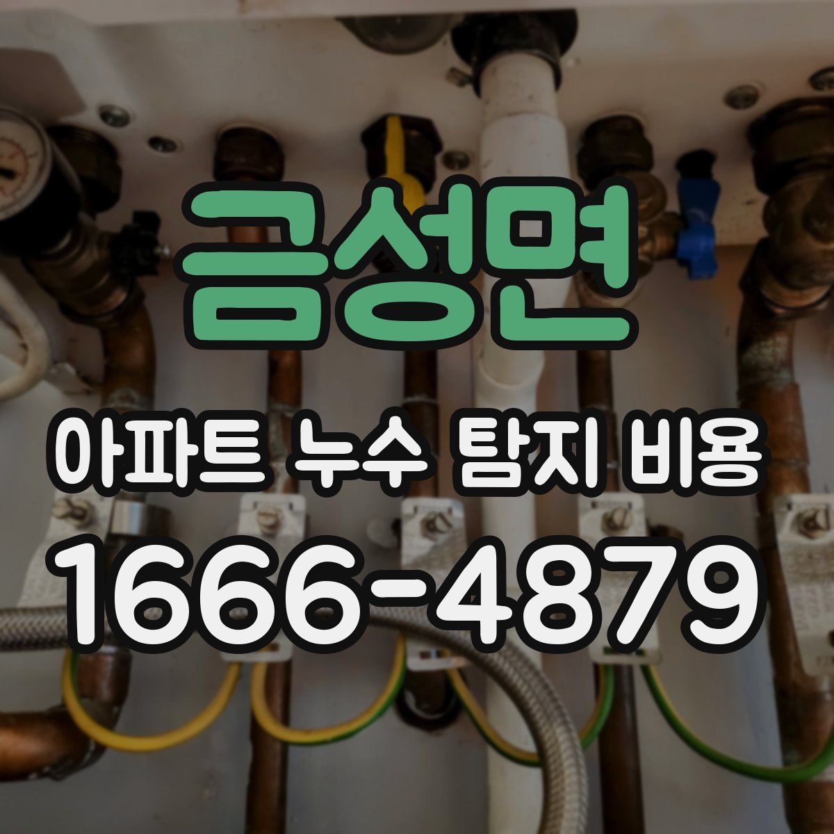 금성면 아파트 누수 탐지 비용