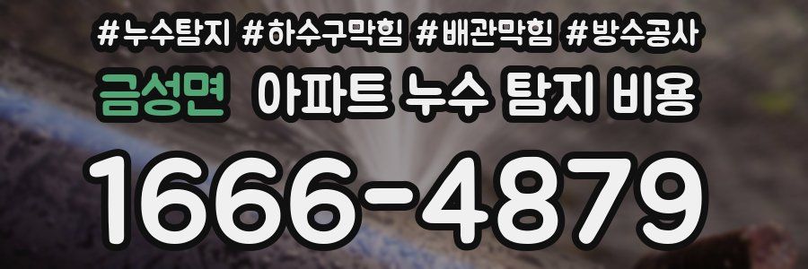 금성면 아파트 누수 탐지 비용