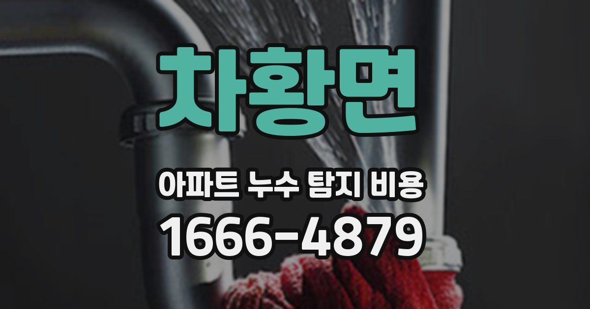 차황면 아파트 누수 탐지 비용