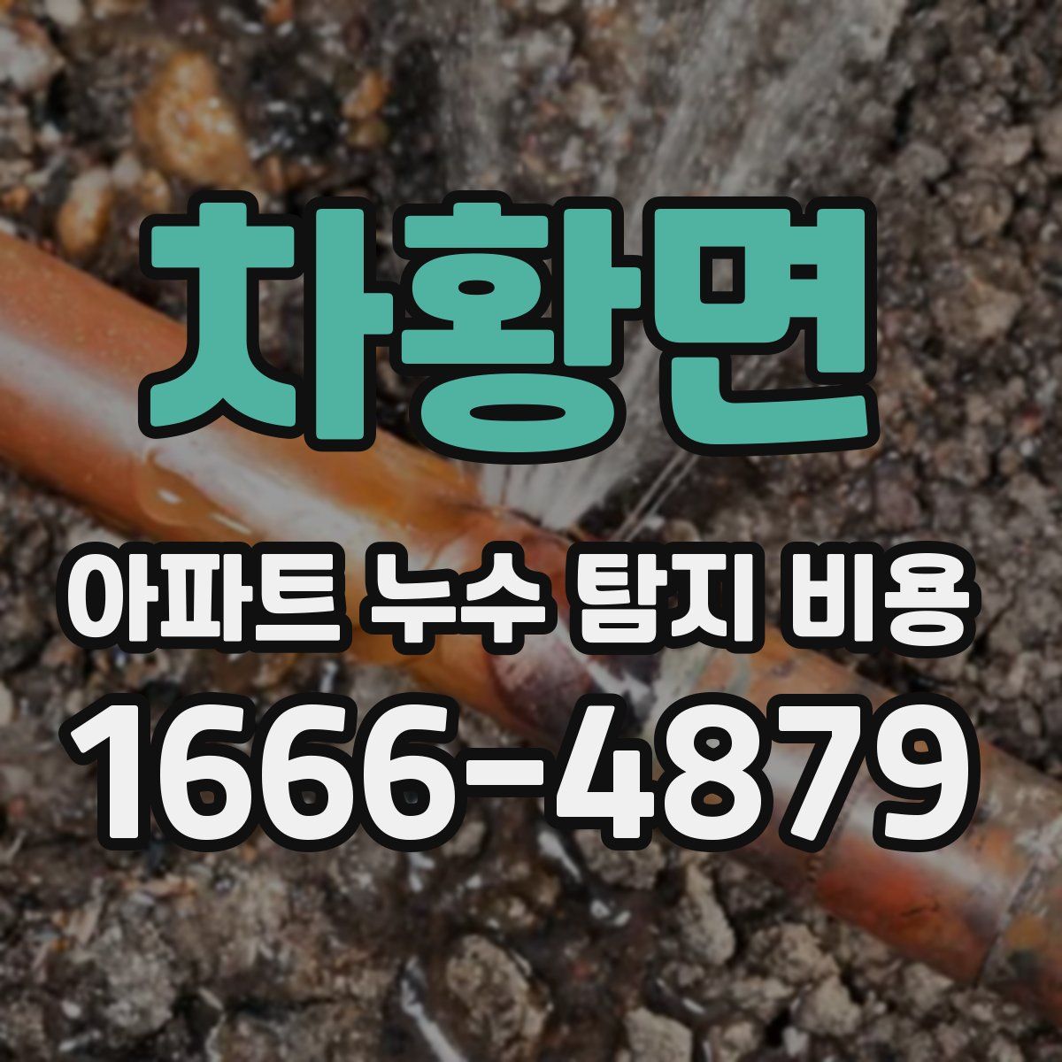 차황면 아파트 누수 탐지 비용
