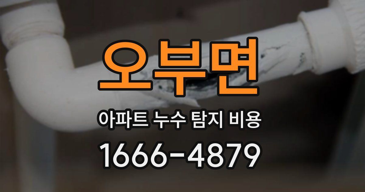 오부면 아파트 누수 탐지 비용