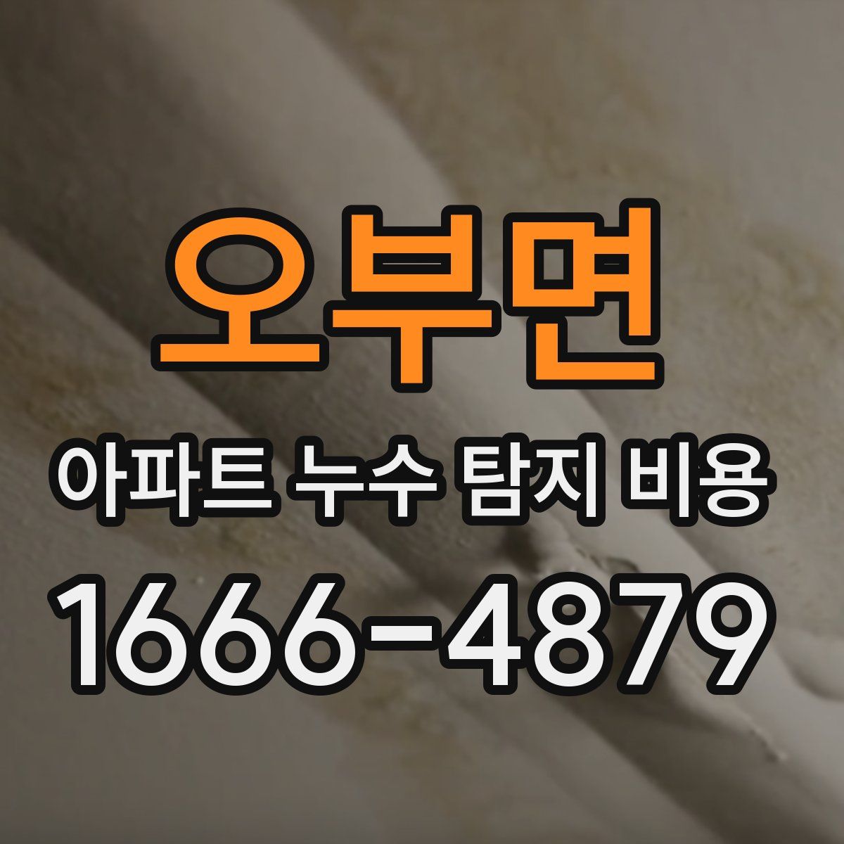 오부면 아파트 누수 탐지 비용
