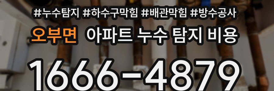 오부면 아파트 누수 탐지 비용