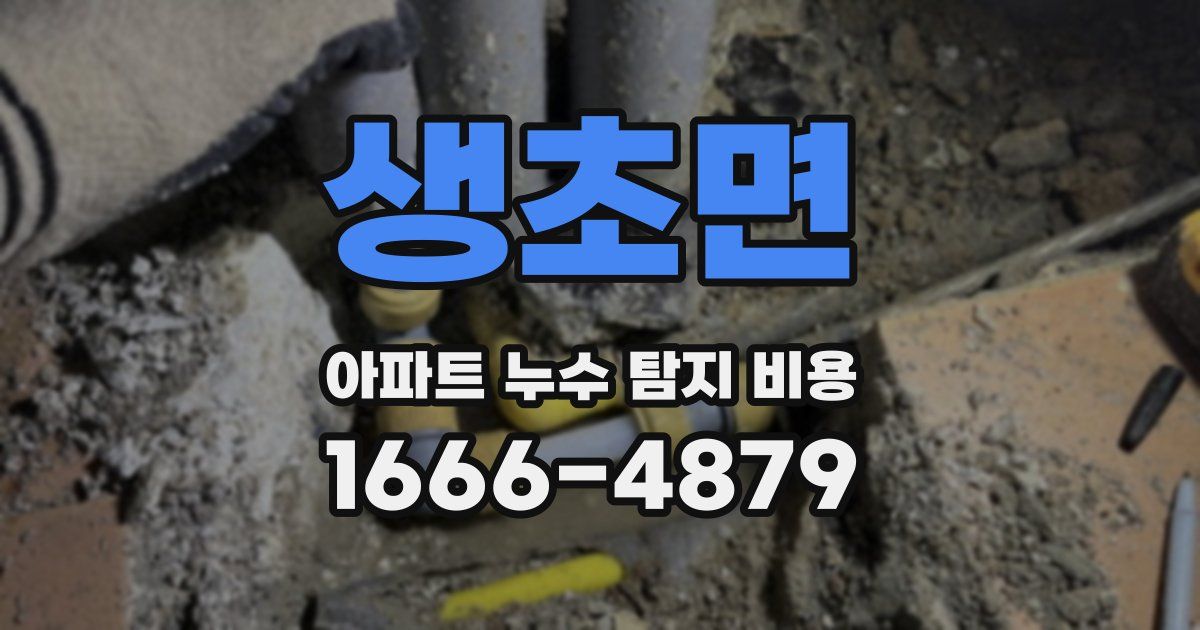 생초면 아파트 누수 탐지 비용