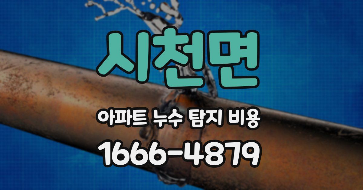 시천면 아파트 누수 탐지 비용