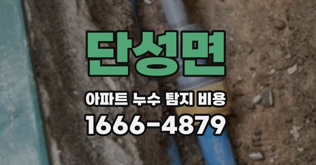 단성면 아파트 누수 탐지 비용