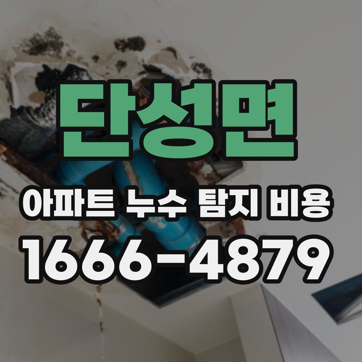 단성면 아파트 누수 탐지 비용