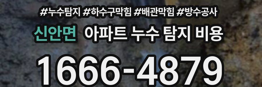 신안면 아파트 누수 탐지 비용