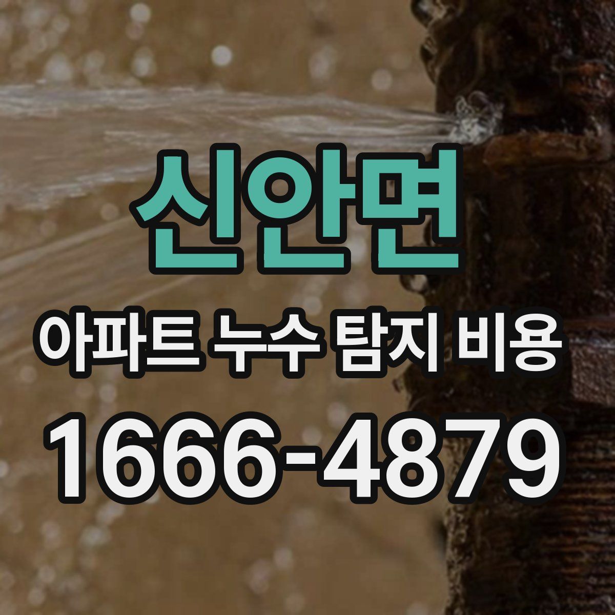 신안면 아파트 누수 탐지 비용