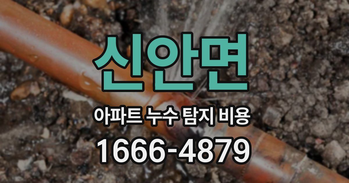 신안면 아파트 누수 탐지 비용