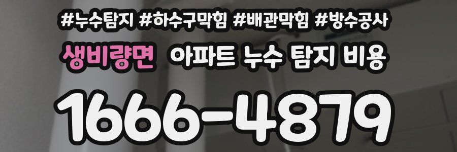 생비량면 아파트 누수 탐지 비용