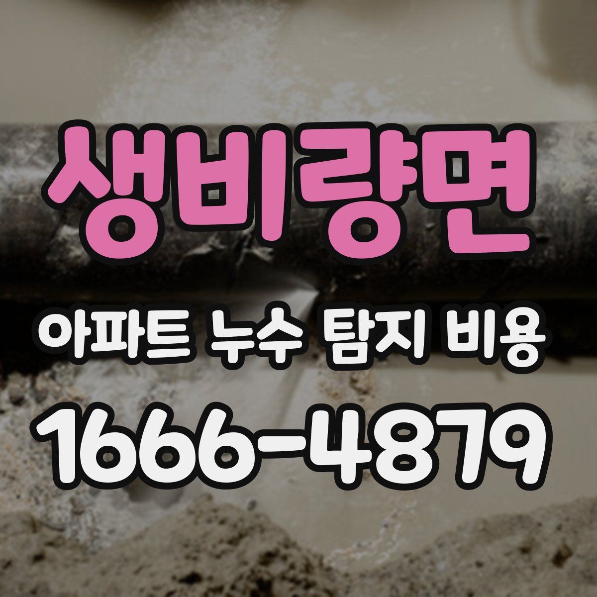 생비량면 아파트 누수 탐지 비용