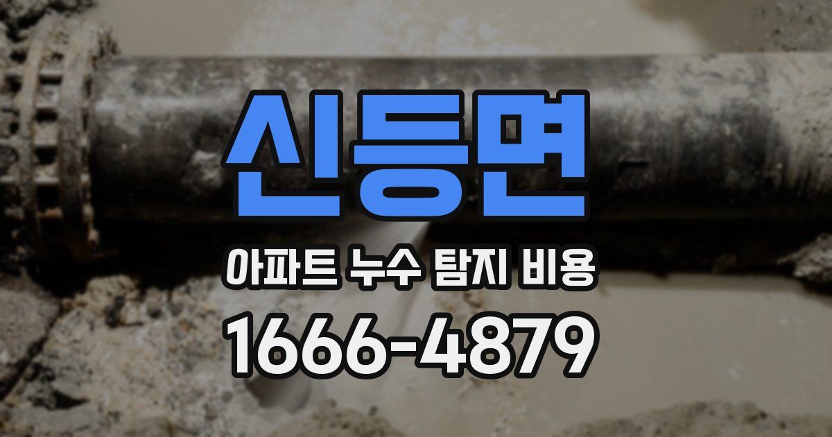 신등면 아파트 누수 탐지 비용