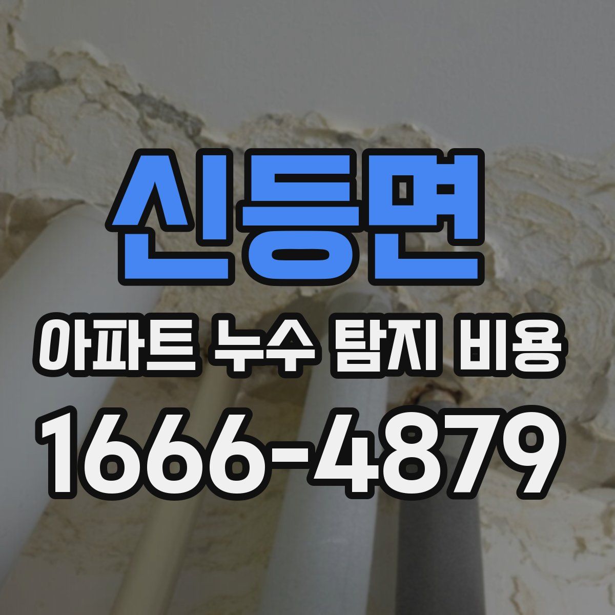 신등면 아파트 누수 탐지 비용