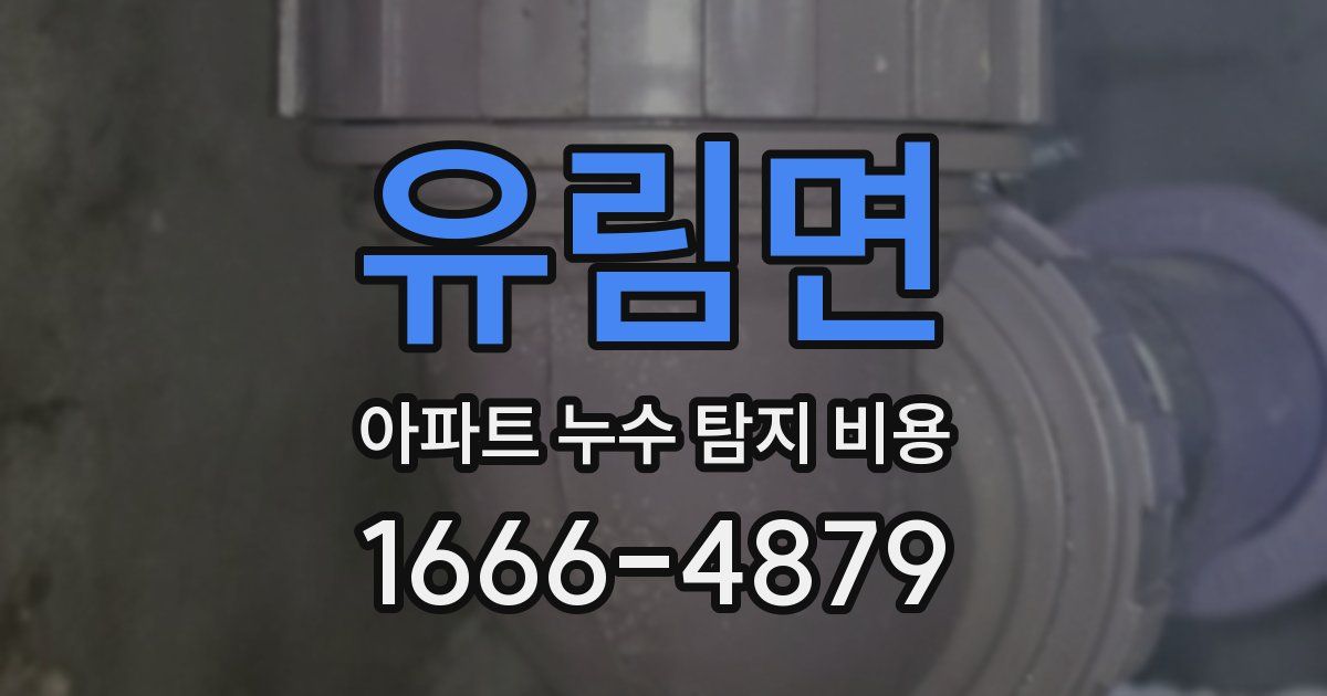 유림면 아파트 누수 탐지 비용