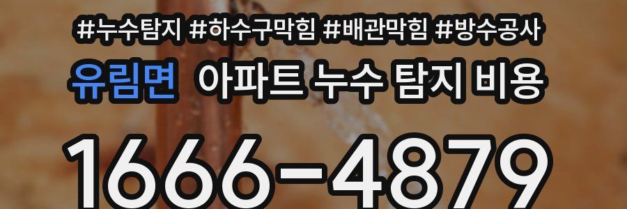 유림면 아파트 누수 탐지 비용