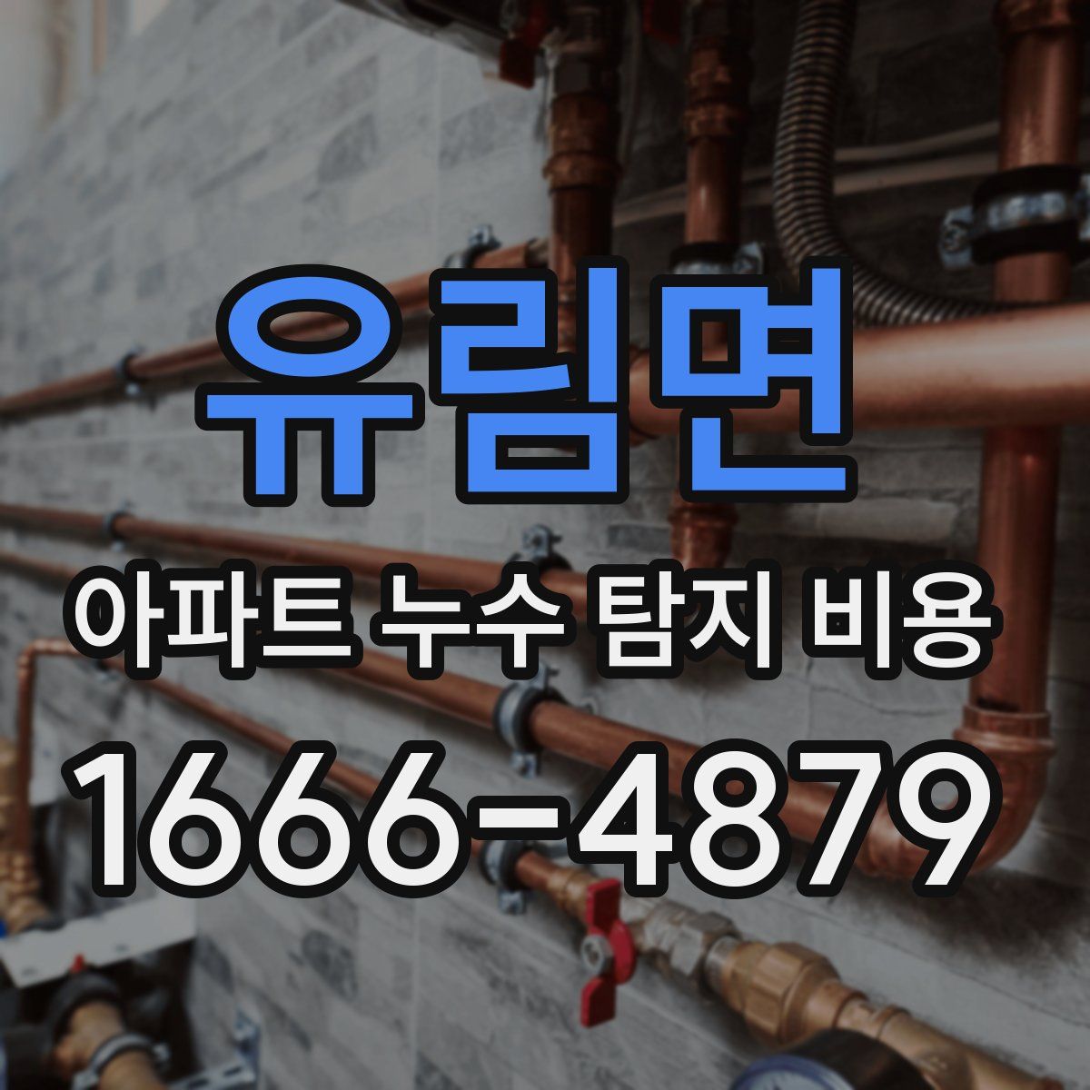 유림면 아파트 누수 탐지 비용