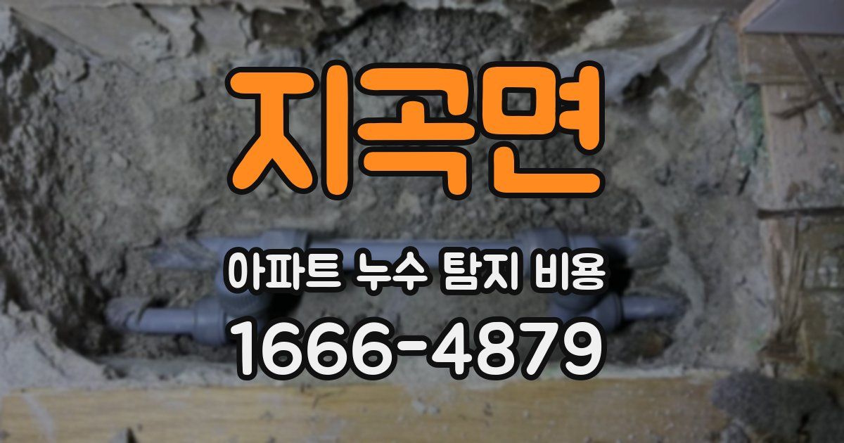 지곡면 아파트 누수 탐지 비용