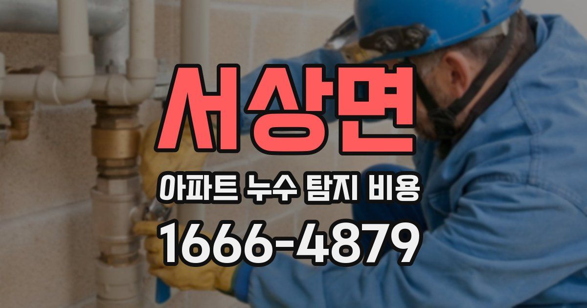 서상면 아파트 누수 탐지 비용