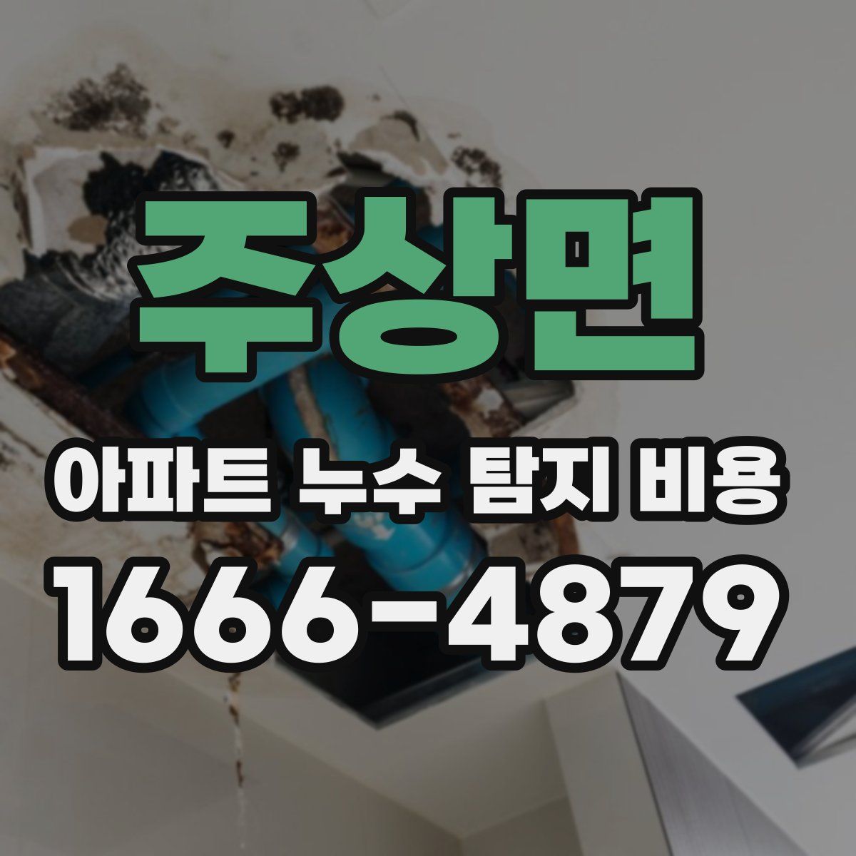 주상면 아파트 누수 탐지 비용
