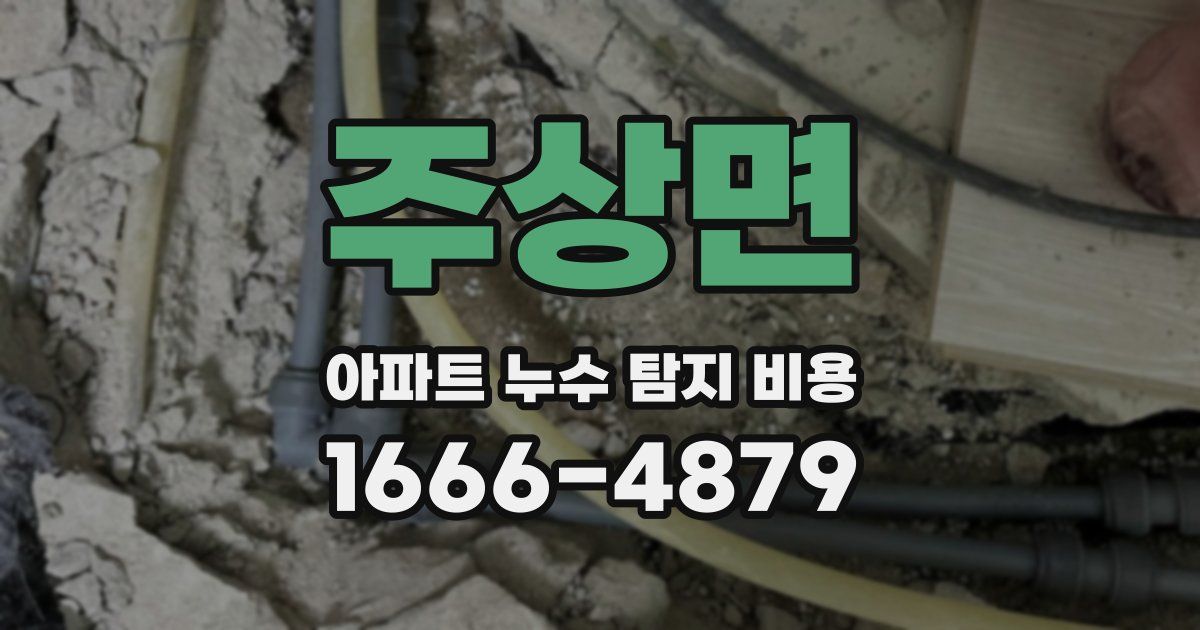 주상면 아파트 누수 탐지 비용