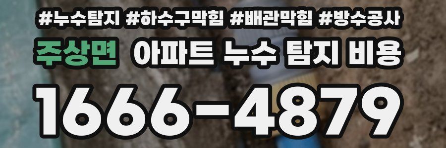 주상면 아파트 누수 탐지 비용