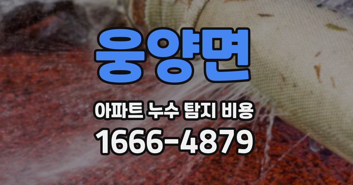 웅양면 아파트 누수 탐지 비용