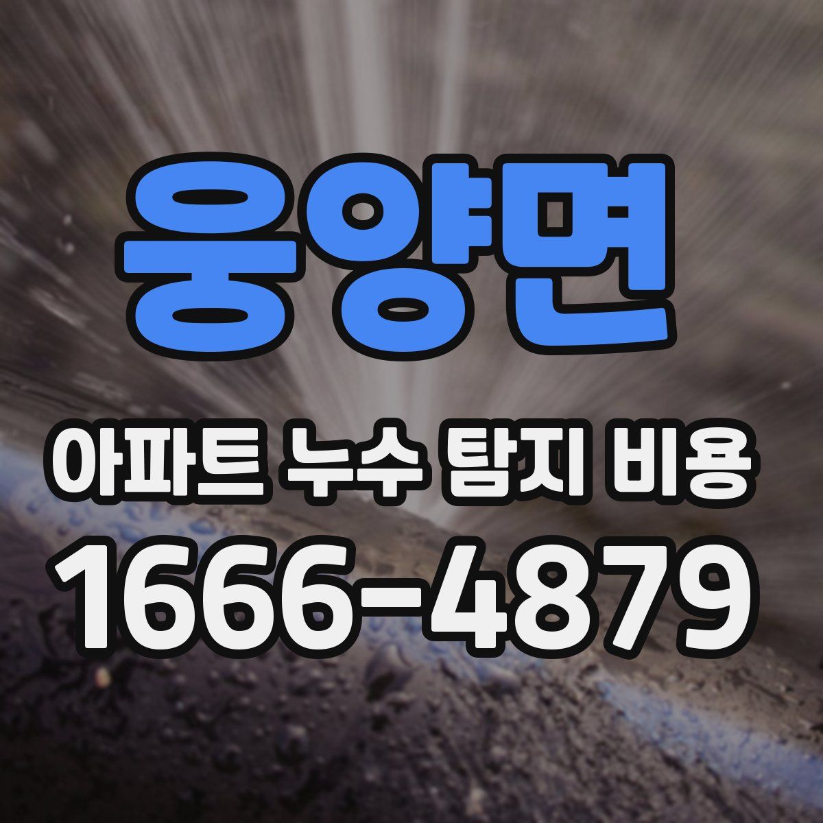 웅양면 아파트 누수 탐지 비용