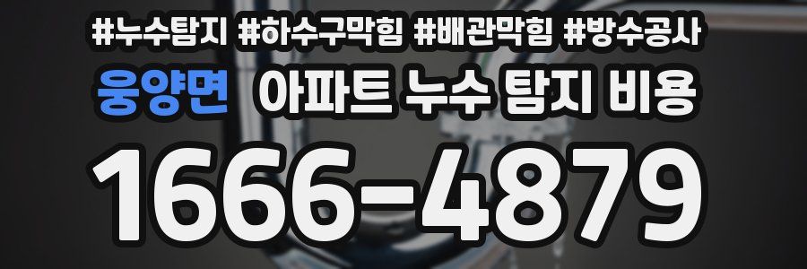 웅양면 아파트 누수 탐지 비용