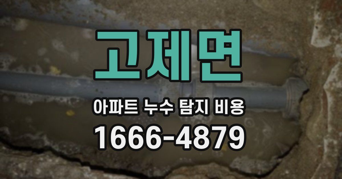 고제면 아파트 누수 탐지 비용