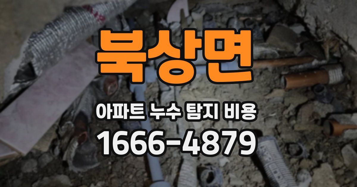 북상면 아파트 누수 탐지 비용