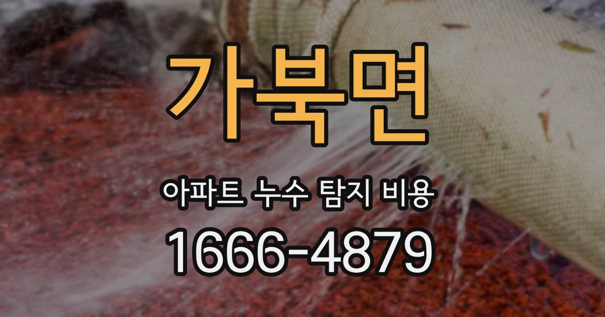 가북면 아파트 누수 탐지 비용