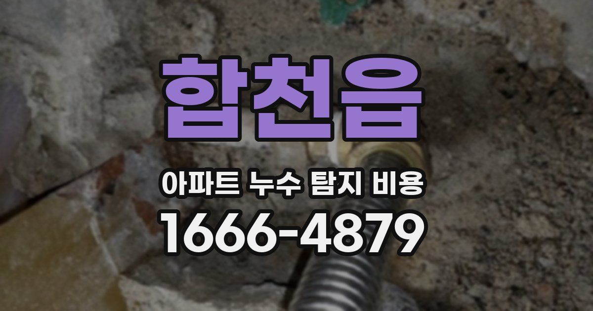 합천읍 아파트 누수 탐지 비용