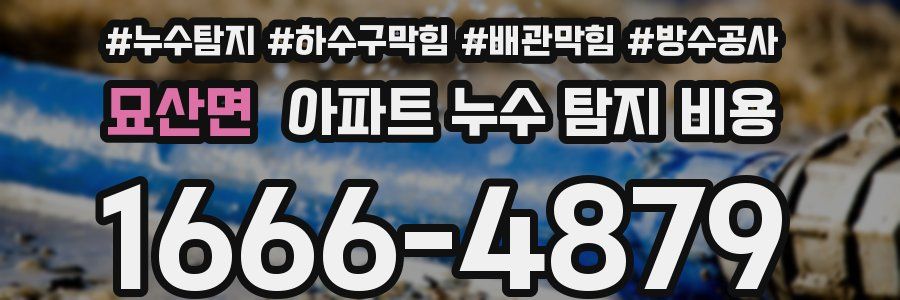 묘산면 아파트 누수 탐지 비용