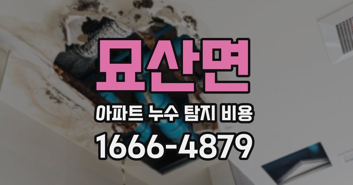 묘산면 아파트 누수 탐지 비용
