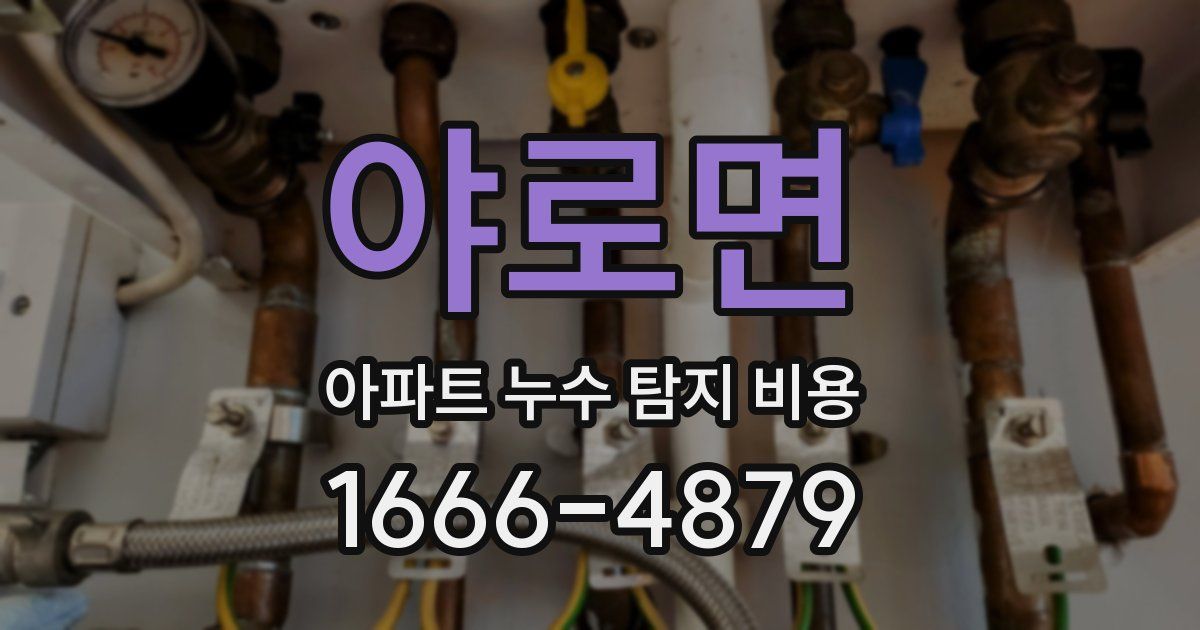 야로면 아파트 누수 탐지 비용