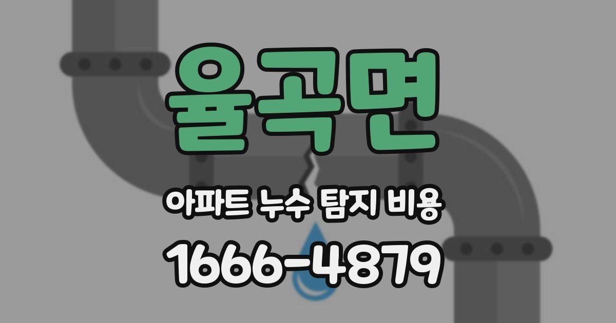 율곡면 아파트 누수 탐지 비용