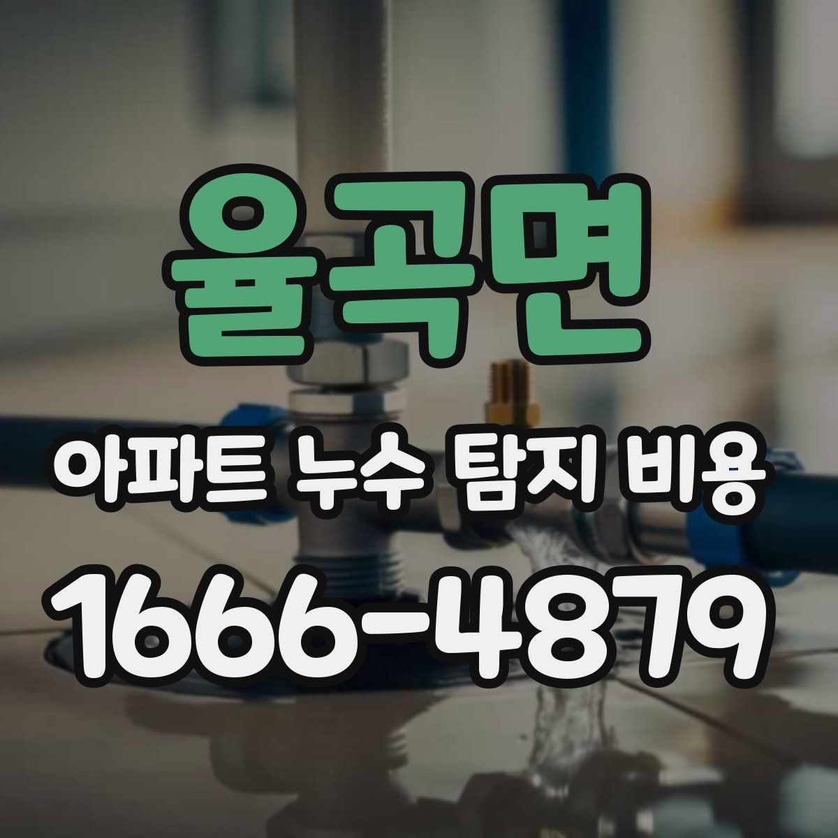 율곡면 아파트 누수 탐지 비용