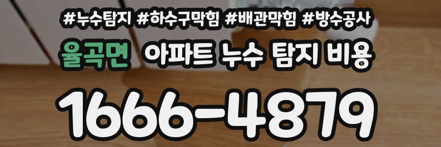 율곡면 아파트 누수 탐지 비용