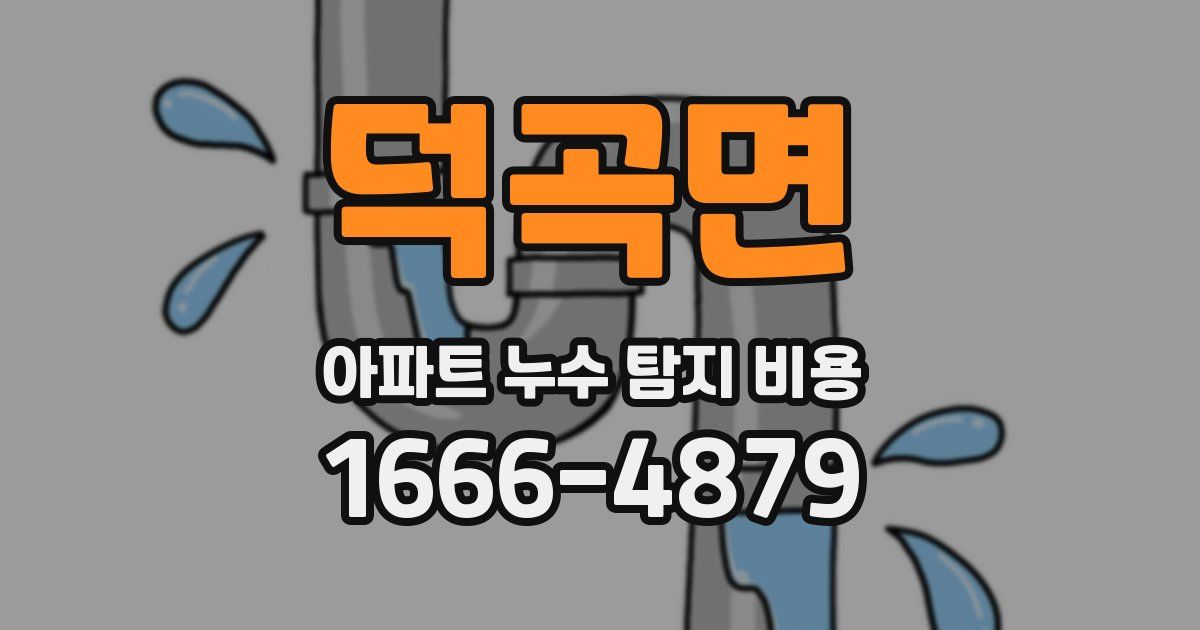 덕곡면 아파트 누수 탐지 비용