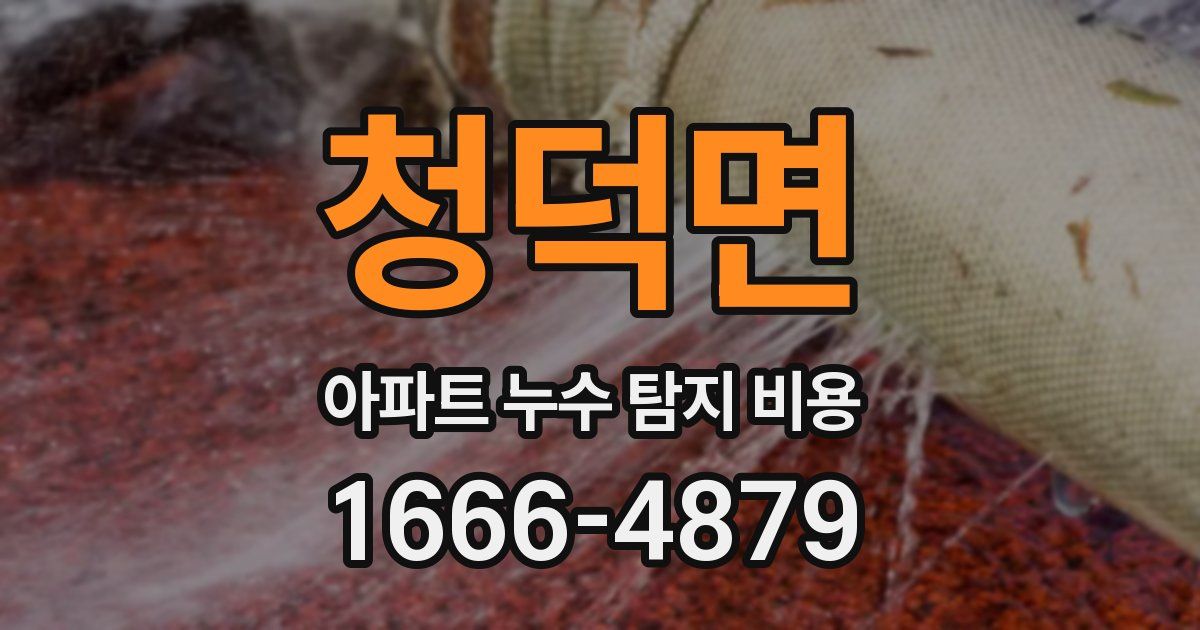 청덕면 아파트 누수 탐지 비용