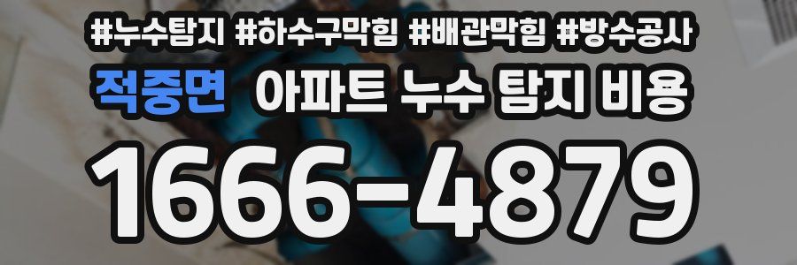 적중면 아파트 누수 탐지 비용