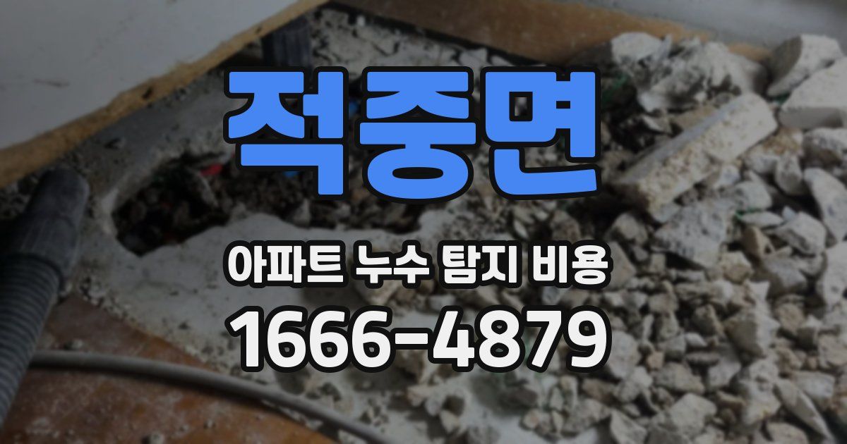 적중면 아파트 누수 탐지 비용
