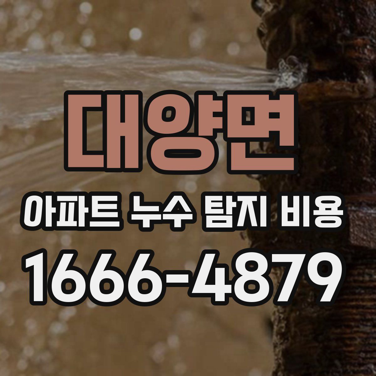 대양면 아파트 누수 탐지 비용