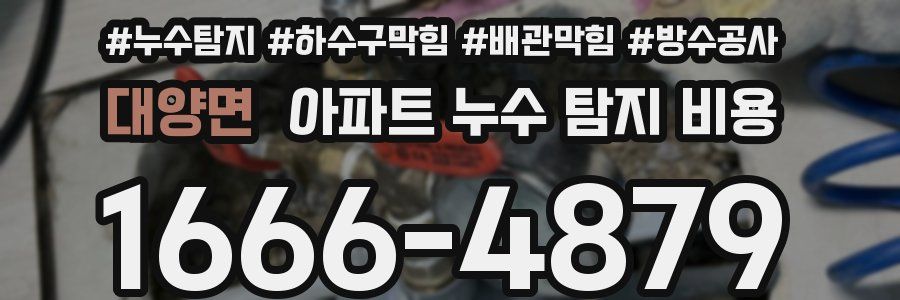 대양면 아파트 누수 탐지 비용