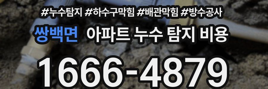 쌍백면 아파트 누수 탐지 비용