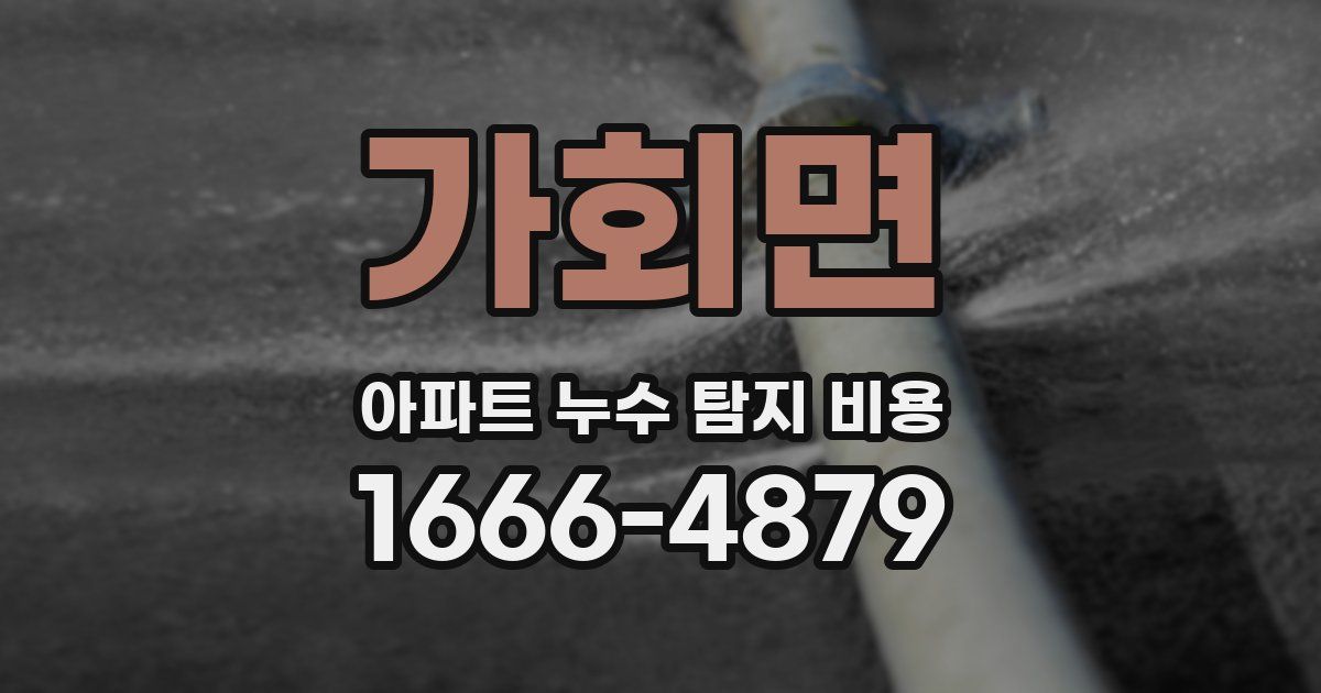 가회면 아파트 누수 탐지 비용