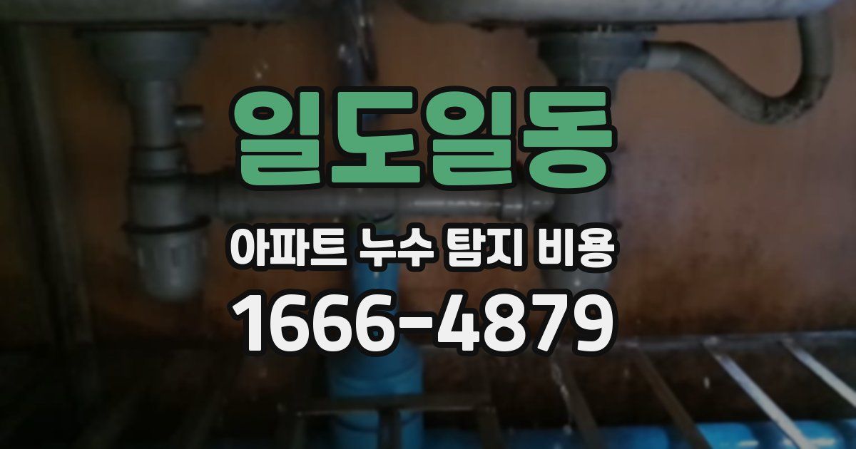 일도일동 아파트 누수 탐지 비용